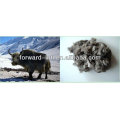 high quality pure yak wool fibre